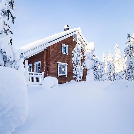 Ounasvaaran Lakituvat Chalets Rovaniemi Luaran gambar