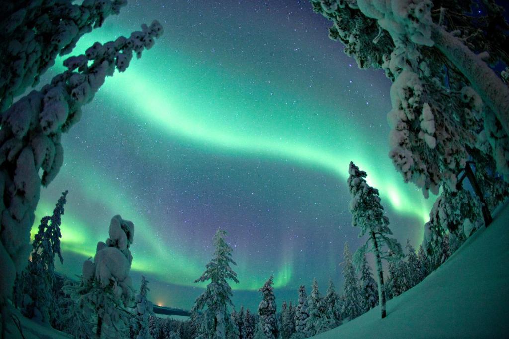 Ounasvaaran Lakituvat Chalets Rovaniemi Bilik gambar