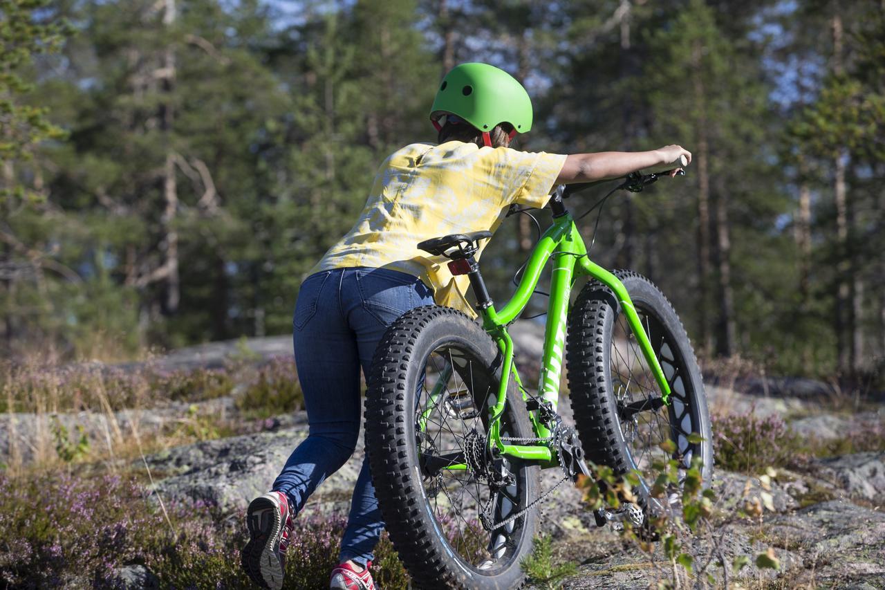 Ounasvaaran Lakituvat Chalets Rovaniemi Luaran gambar