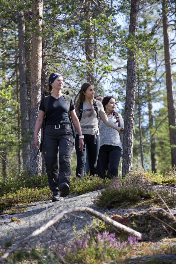 Ounasvaaran Lakituvat Chalets Rovaniemi Luaran gambar