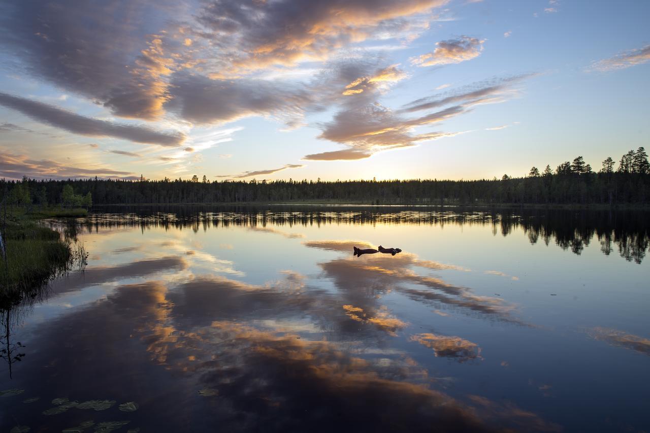 Ounasvaaran Lakituvat Chalets Rovaniemi Luaran gambar
