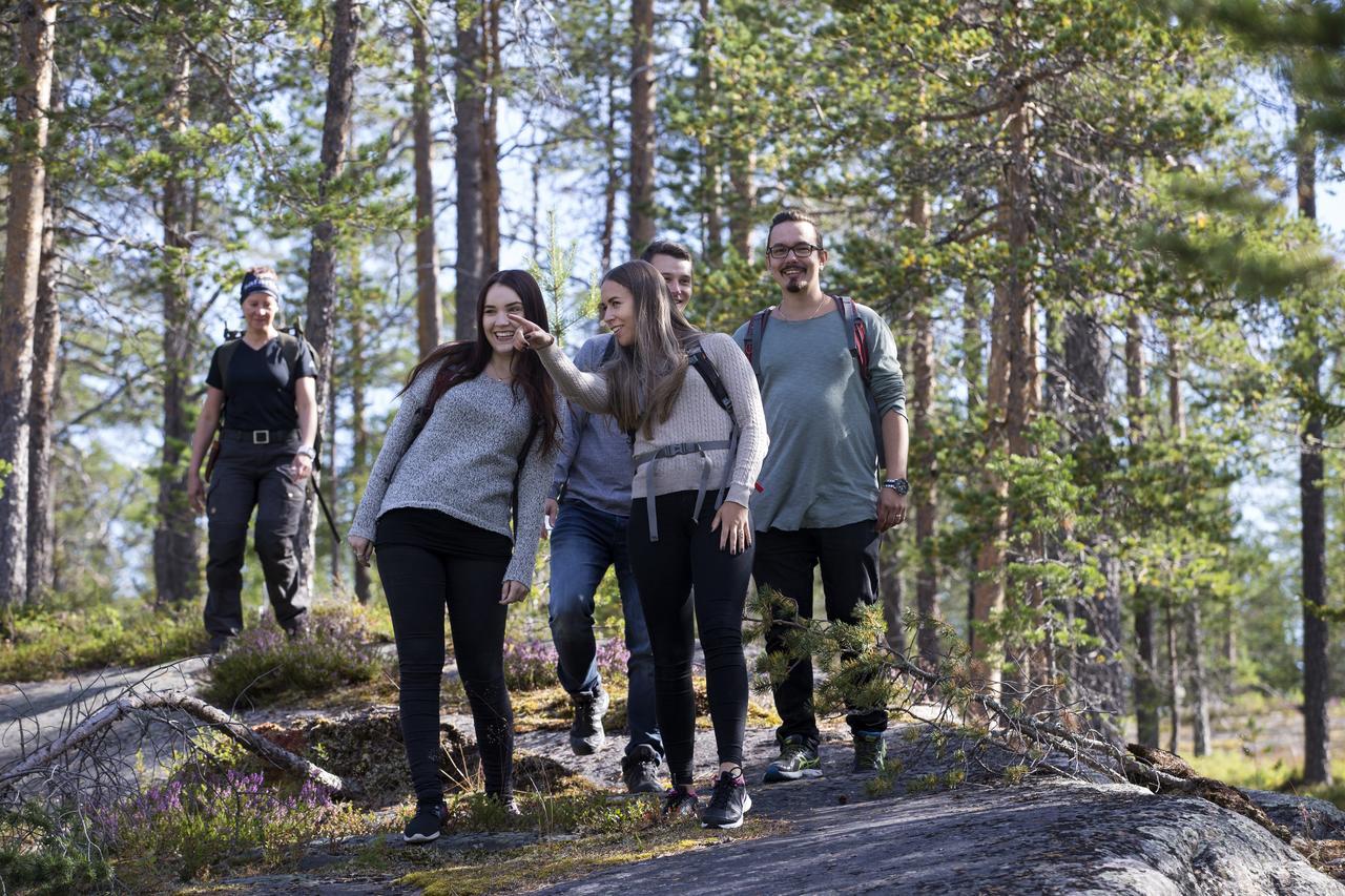 Ounasvaaran Lakituvat Chalets Rovaniemi Luaran gambar