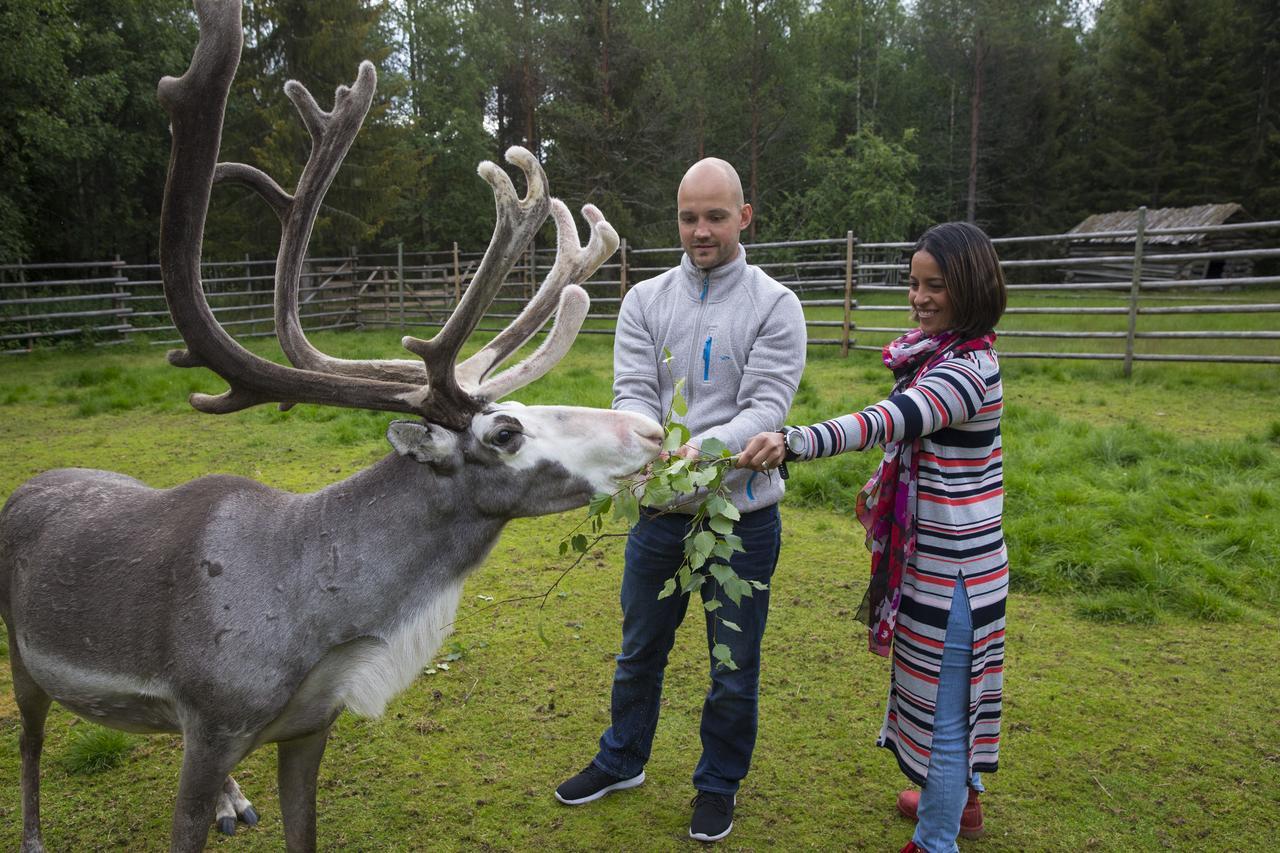 Ounasvaaran Lakituvat Chalets Rovaniemi Luaran gambar