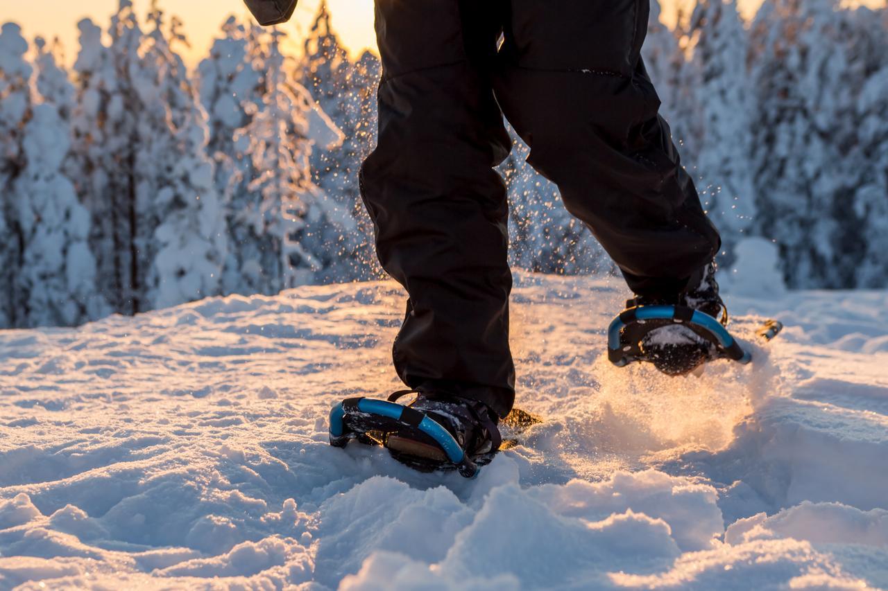 Ounasvaaran Lakituvat Chalets Rovaniemi Luaran gambar
