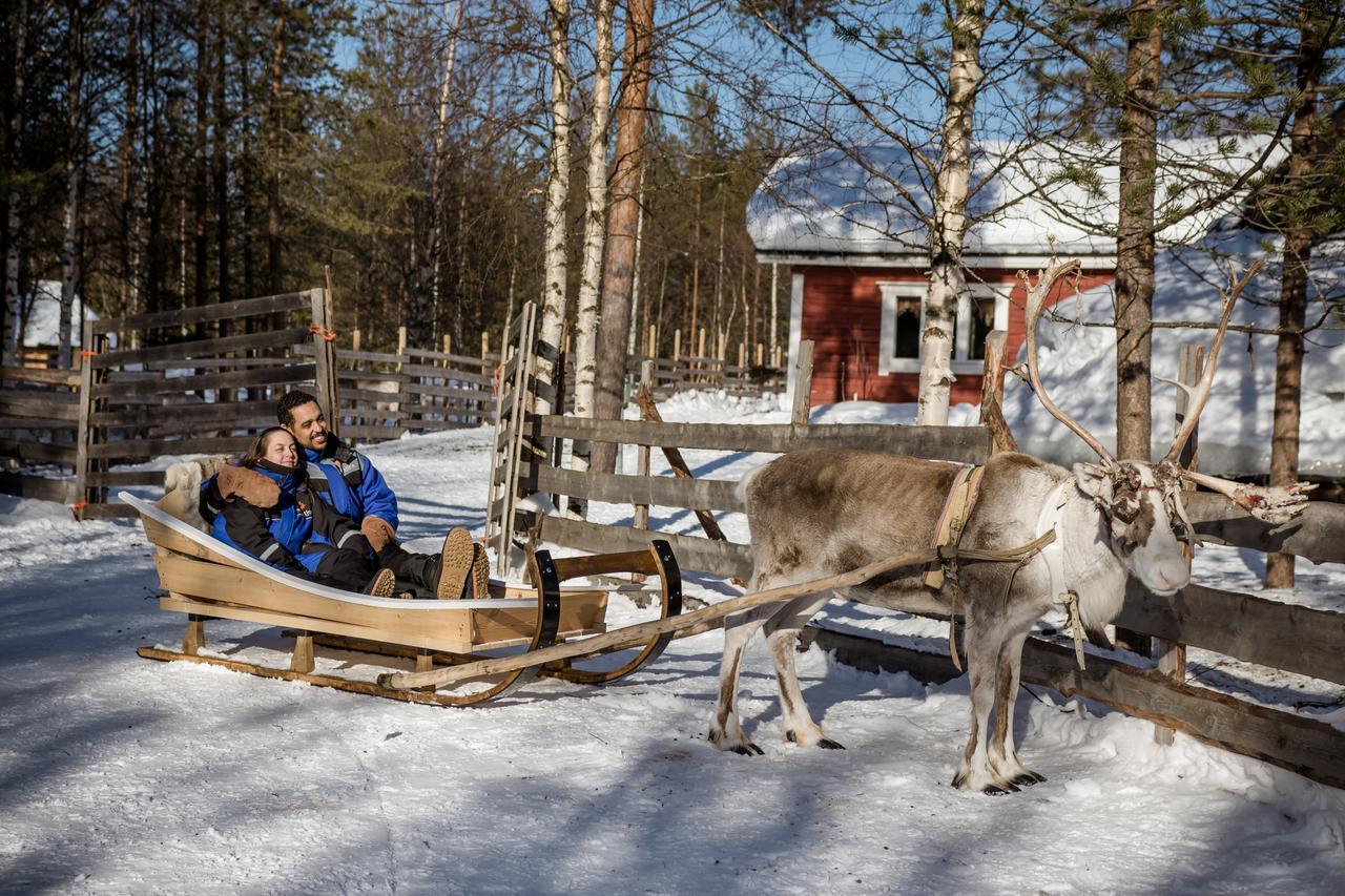 Ounasvaaran Lakituvat Chalets Rovaniemi Luaran gambar