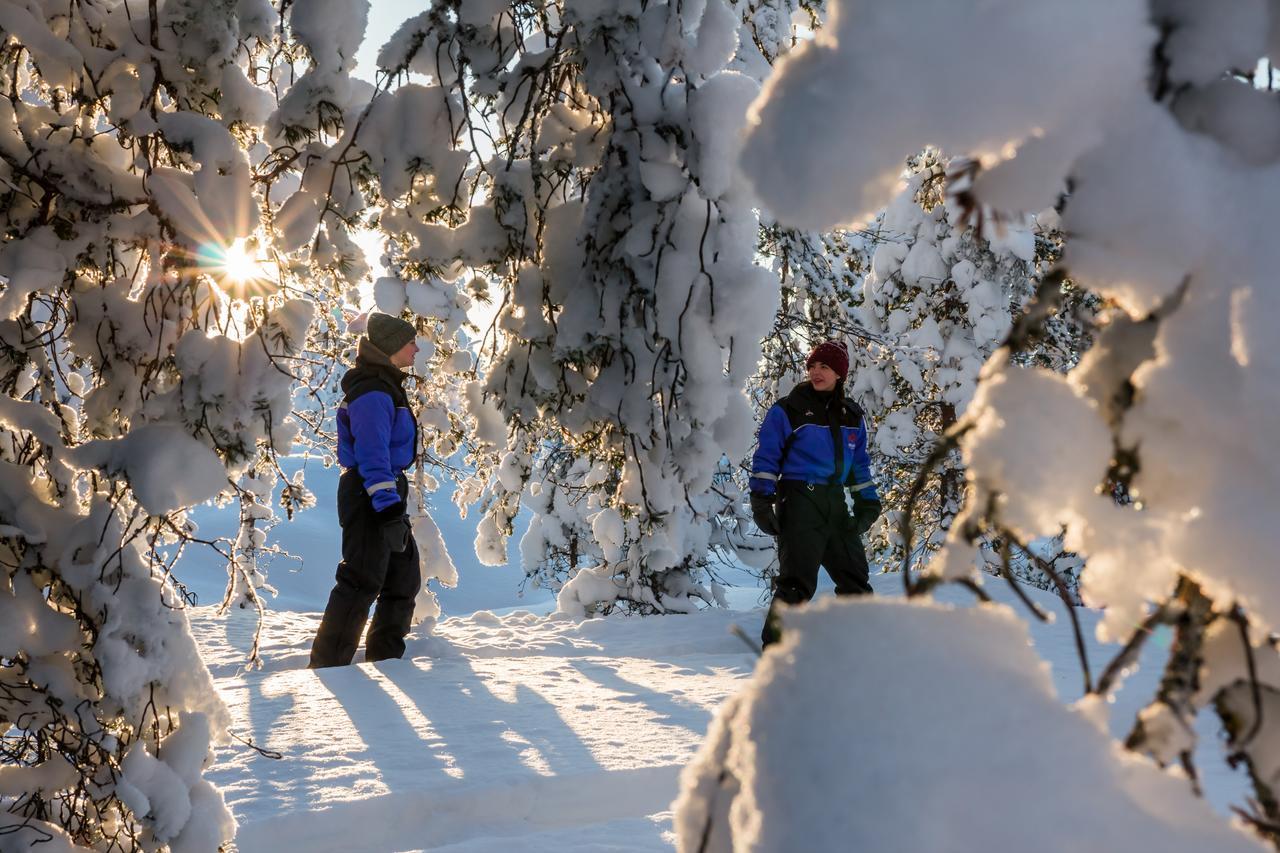 Ounasvaaran Lakituvat Chalets Rovaniemi Luaran gambar